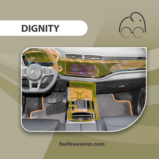 محافظ کنسول دیگنیتی | DIGNITY