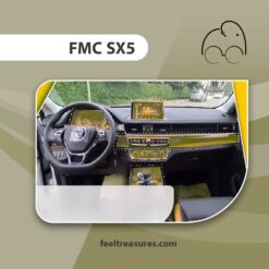 محافظ کنسول اف ام سی اس ایکس 5 | FMC SX5